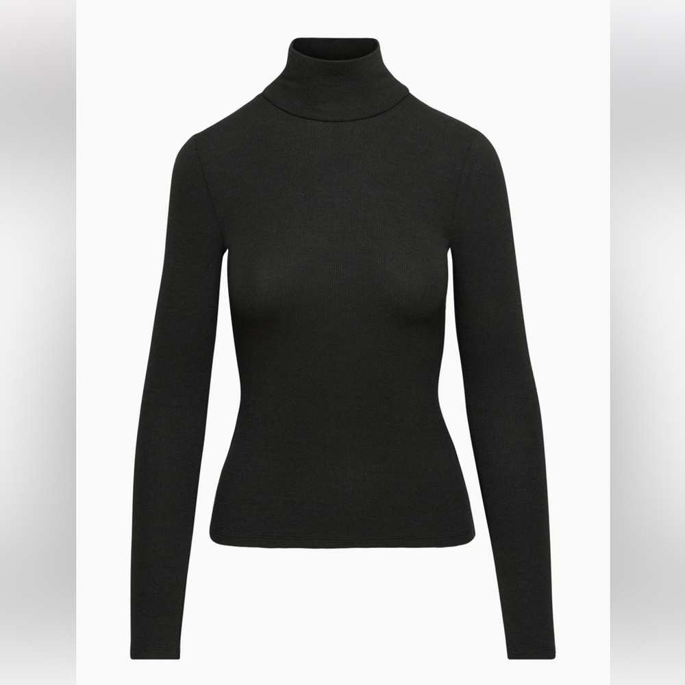 Aritzia Wilfred Only Turtleneck